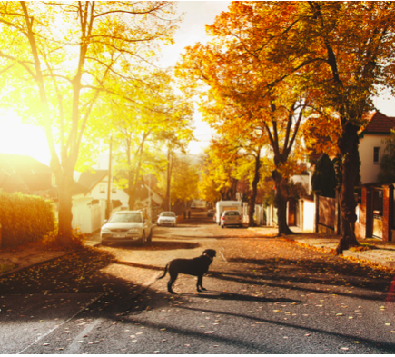 9 Factors to Consider when Choosing a Friendly Neighbourhood