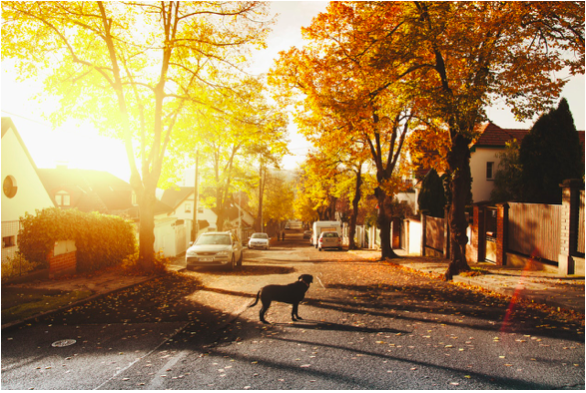 9 Factors to Consider when Choosing a Friendly Neighbourhood