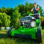What’s a Normal Rate for Lawn Care?