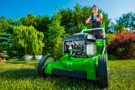 What’s a Normal Rate for Lawn Care?
