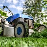 Top 7 Tips for Seeding a Lawn