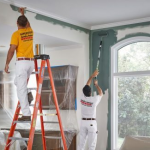 How to Professional Painters Work