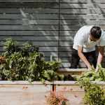 7 Gardening Tips for Beginners