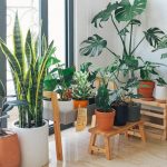 5 Easy Ways to Make Your Home More Eco-Friendly