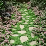 Groundcover Benefits in Landscaping
