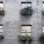 5 Main Benefits Of Placing Plants Near The Window